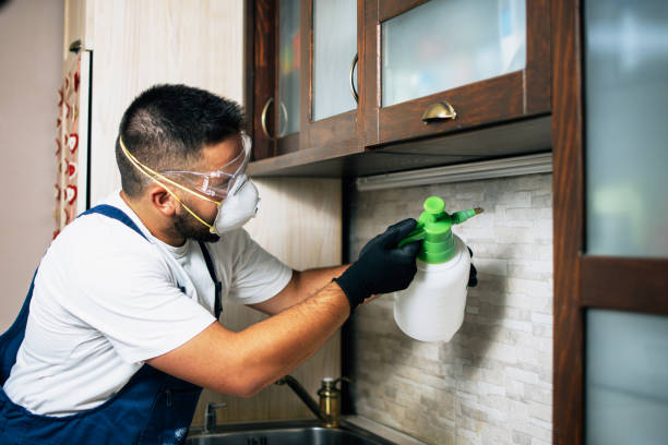 Best Pest Control Near Me  in Riverwoods, IL