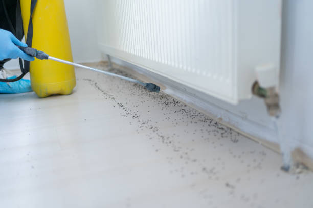  Riverwoods, IL Pest Control Pros