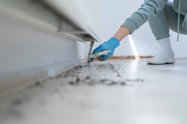 Best Termite Control Services  in Riverwoods, IL